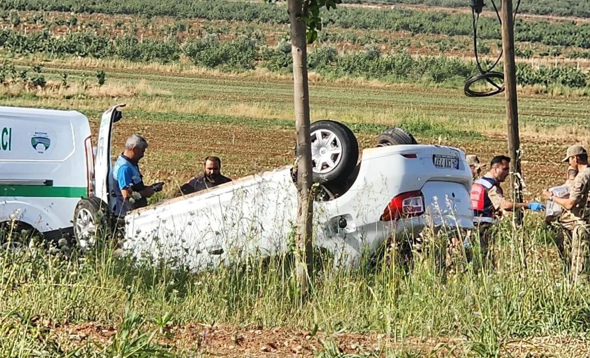 Bozova Da Takla Atan S R C Hayat N Kaybetti Urfastar Urfa Haber