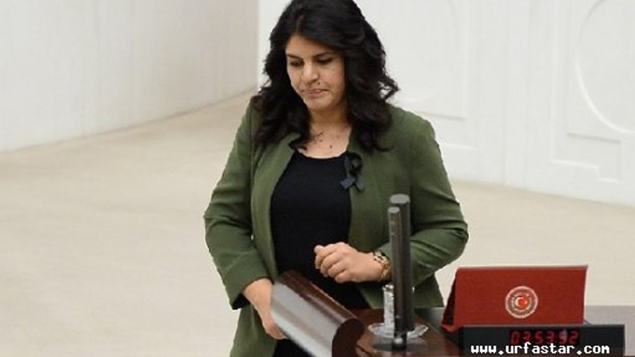 Dilek Öcalan, ikinci kez yemin etti