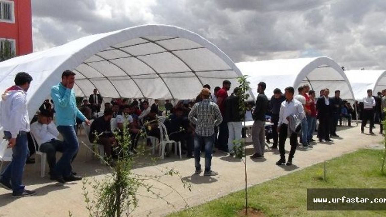 Ceylanpınar’da bekçi alım sınavı iptal edildi