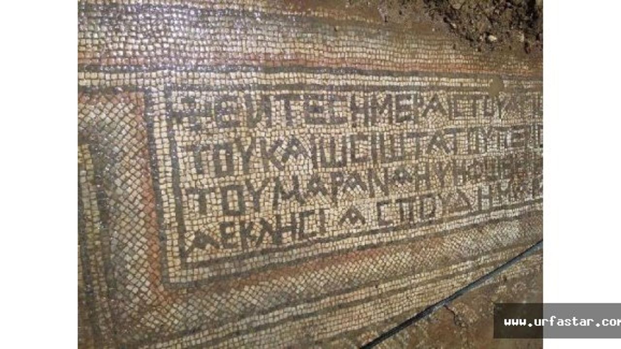 Adıyaman'da bulundu, Urfa'ya getirildi