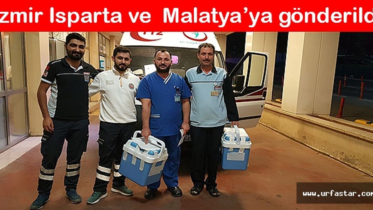 Bağışladığı organları 3 cana hayat verdi