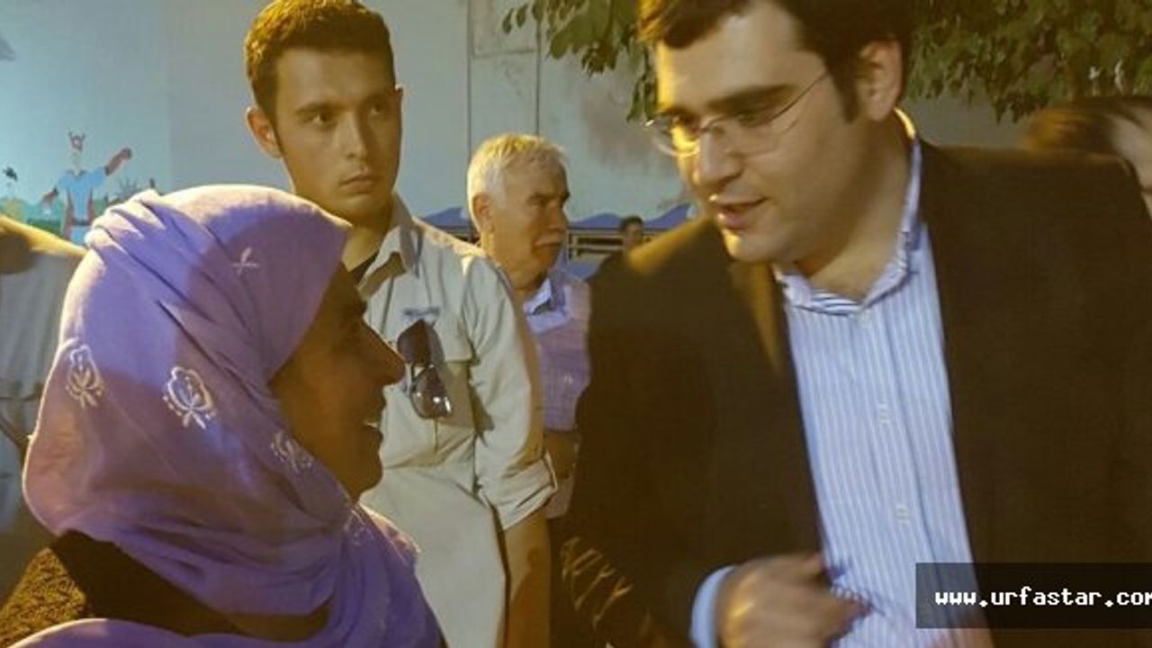 Kaymakam'dan yaşlı çınara yardım eli