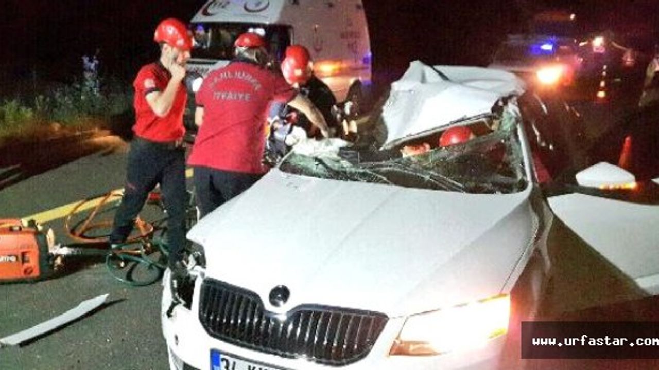 Urfa'da feci kaza: 1 ölü
