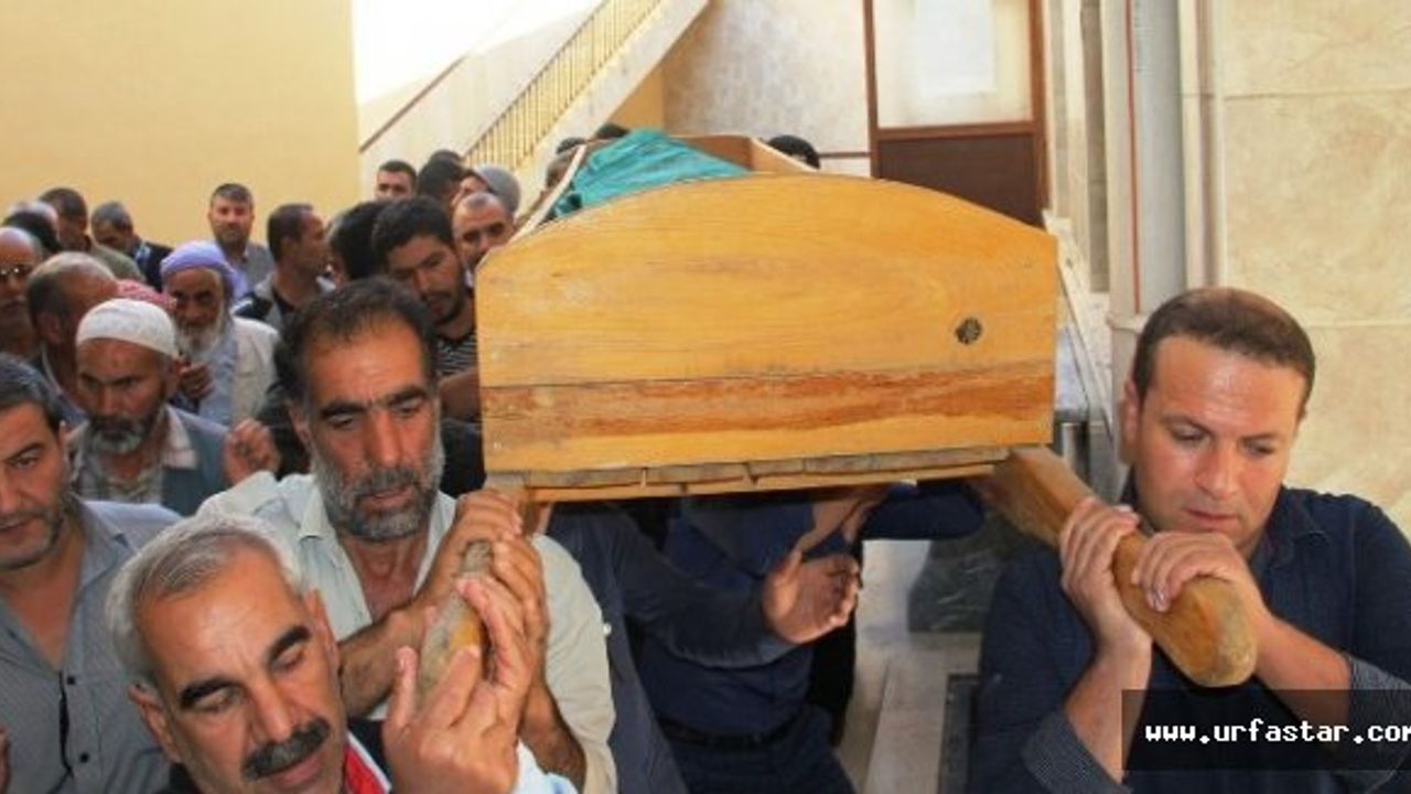 Urfa'da maganda kurbanı oldu