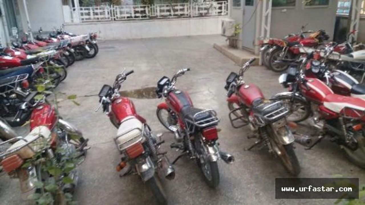 Şanlıurfa'da 76 Çalıntı Motosiklet Ele Geçti