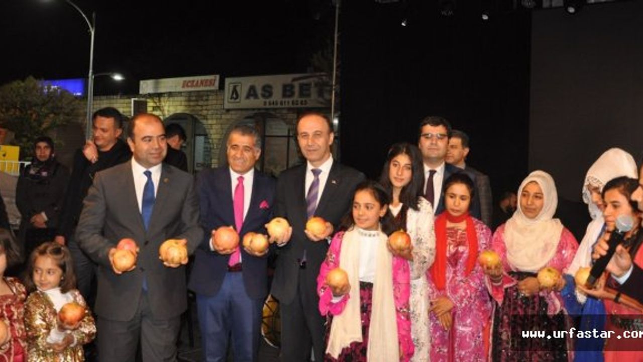 Suruç'ta İlk Kez Nar Festivali