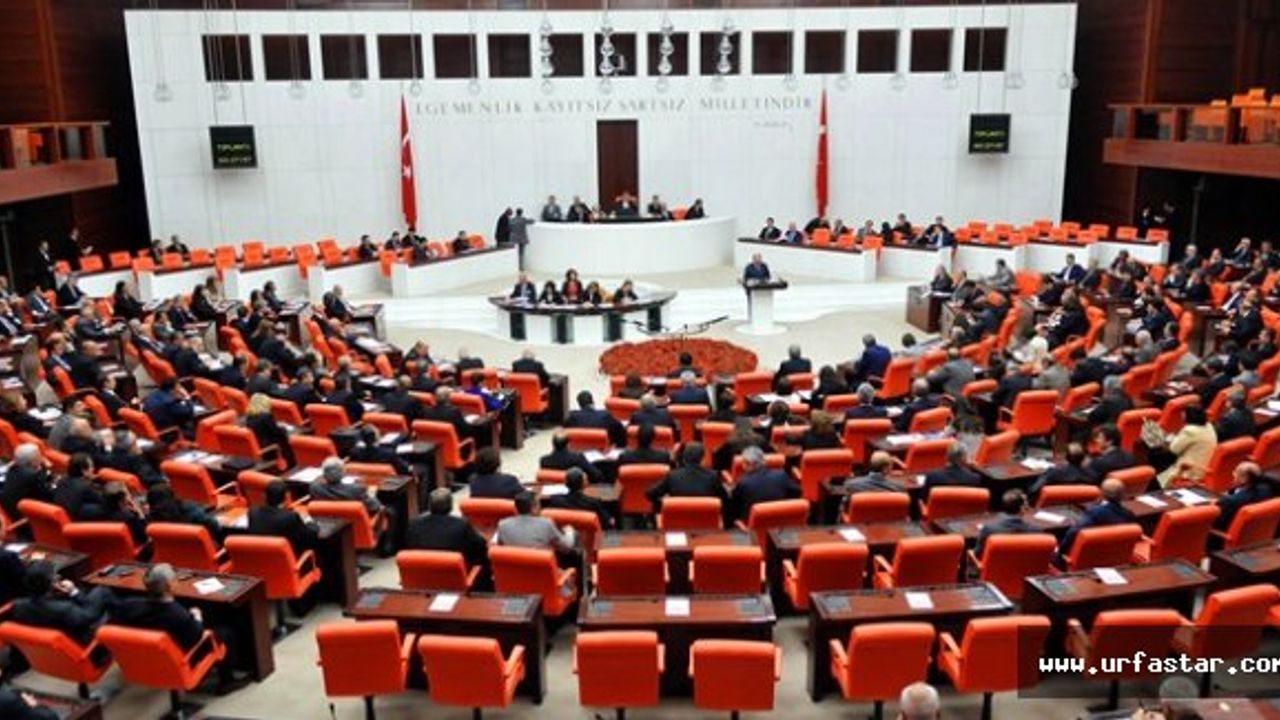 TBMM'de komisyon seçiminde Urfalı vekil