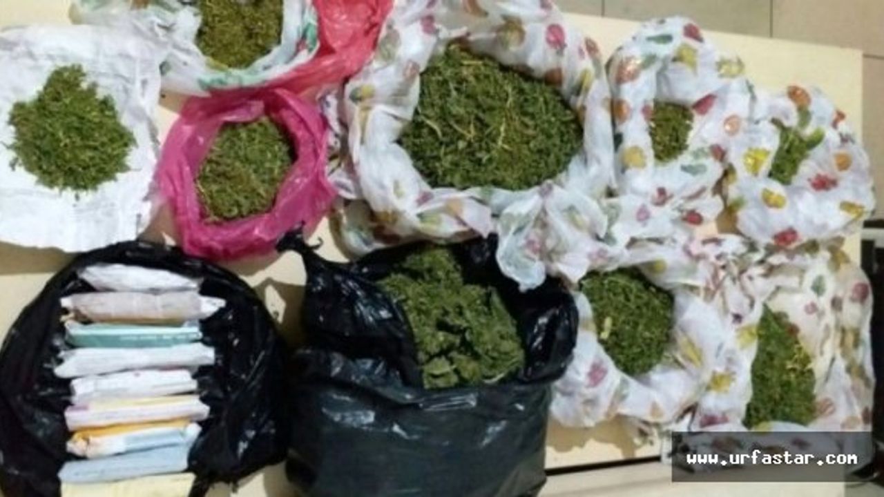 Urfa'da uyuşturucu operasyonu 4 gözaltı