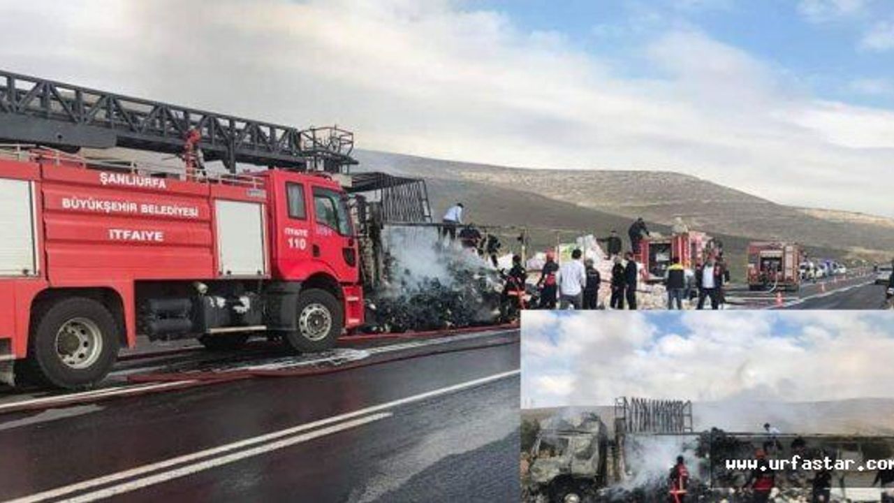 Arat dağında korku dolu anlar...