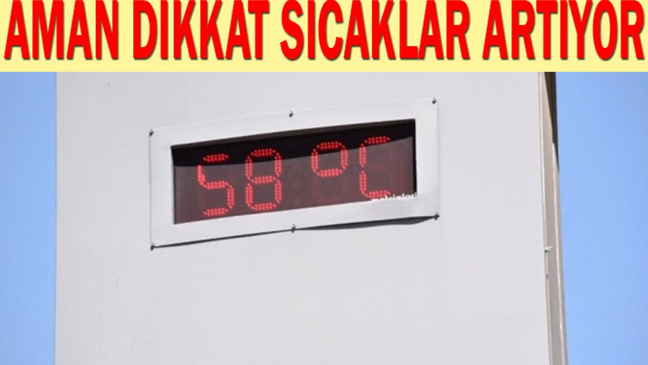 Yaza hızlı başladık! Urfa yanıyor...