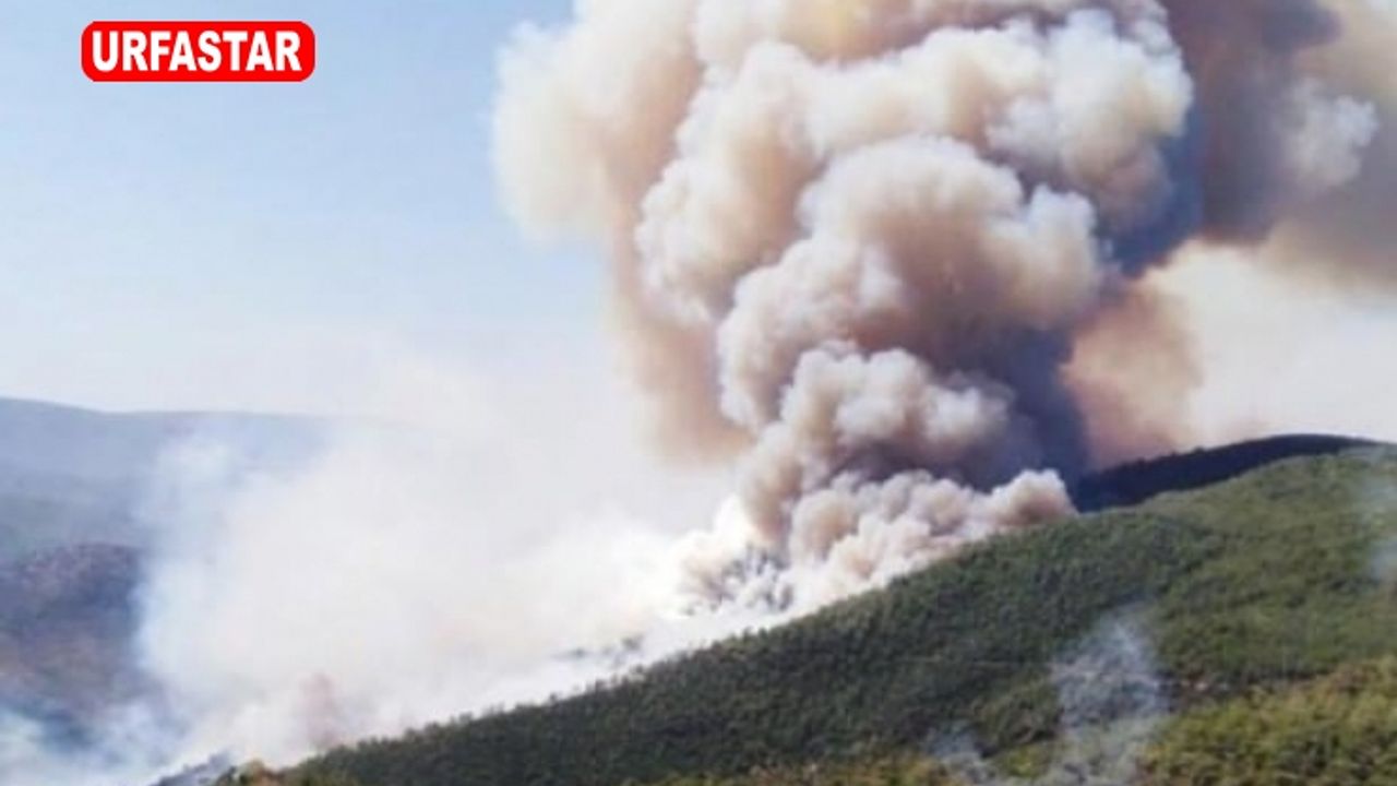 PKK ne yapacağını şaşırdı! Bu kez...