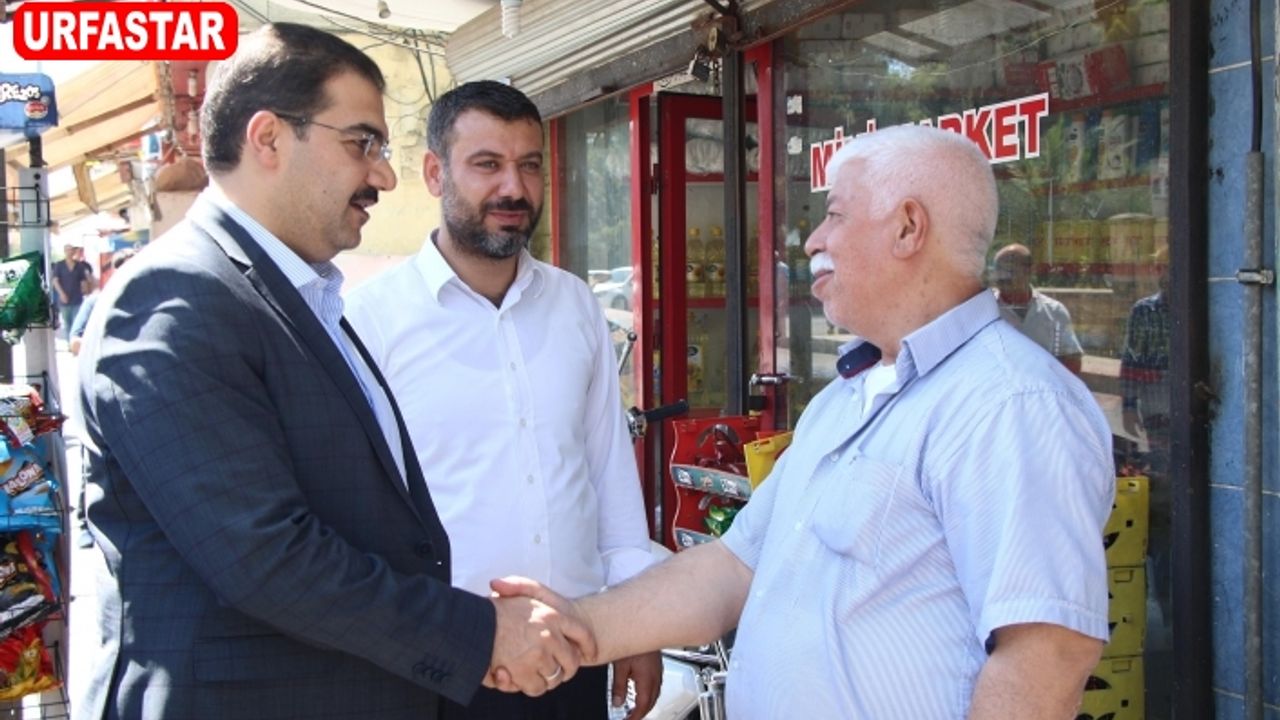 Sokak sokak gezmeye devam ediyor...