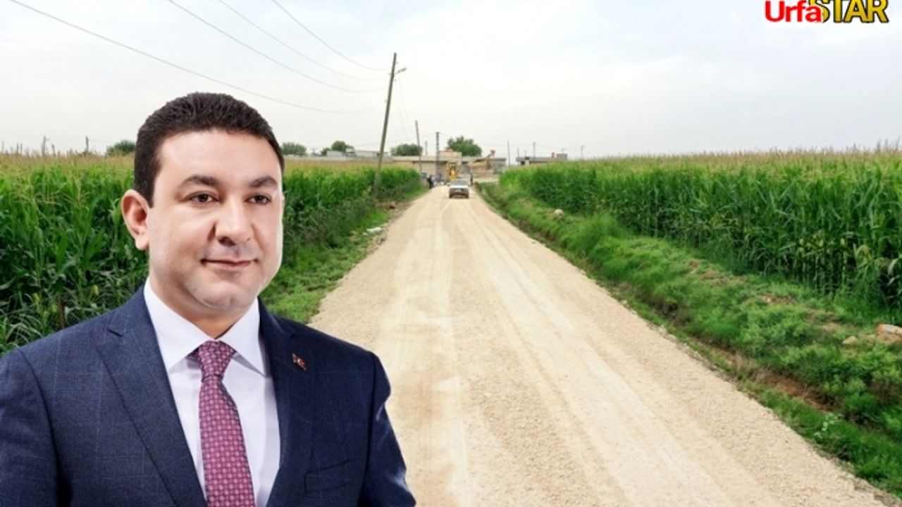 Harran'da yol yapım çalışmaları devam ediyor...
