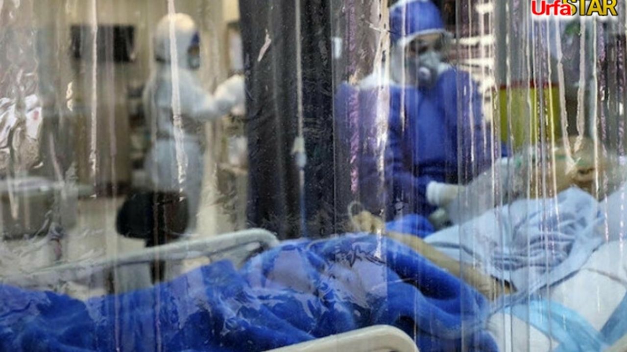 Corona virüsünde son durum! Ağır hasta sayısı yükseldi...