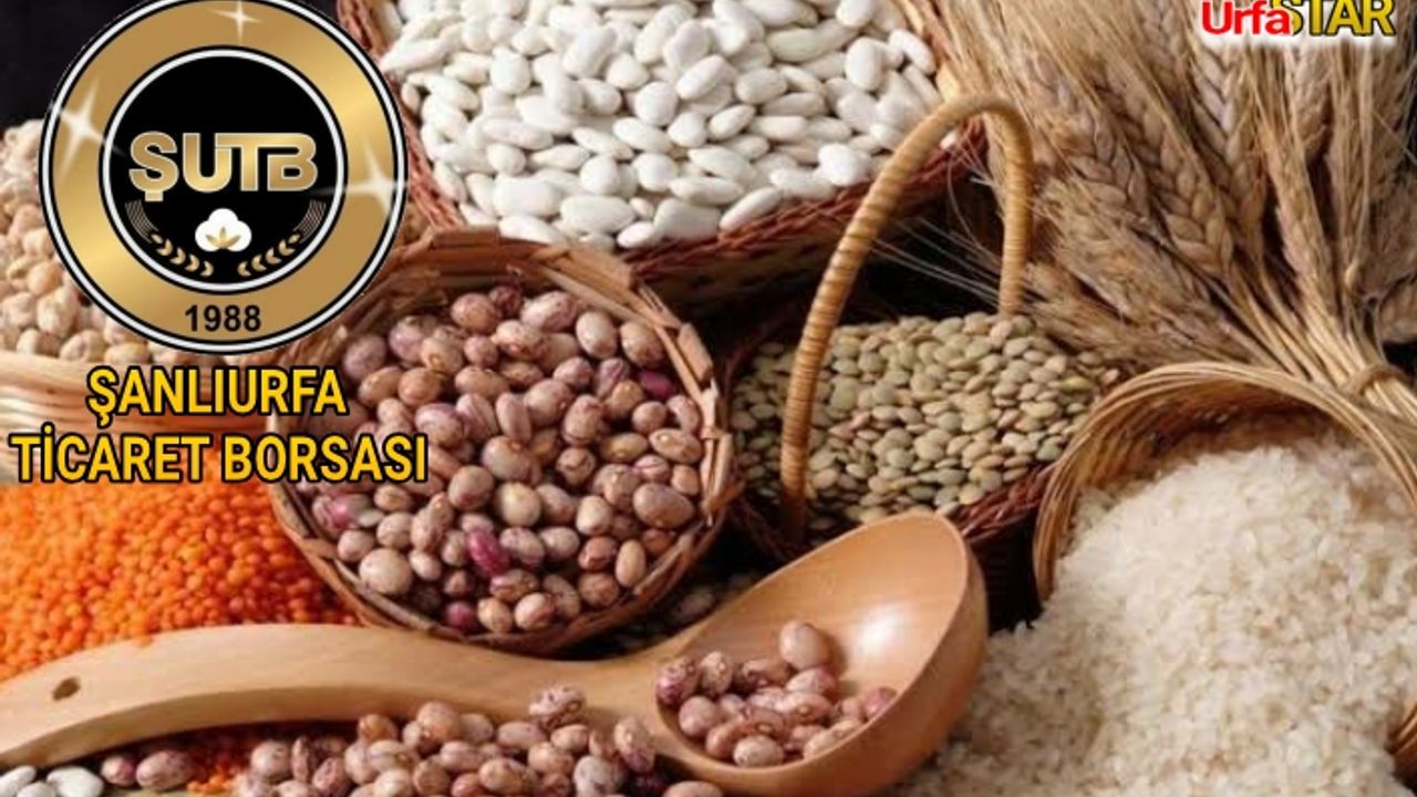 Urfa Borsası'nda mercimeğin fiyatı belli oldu
