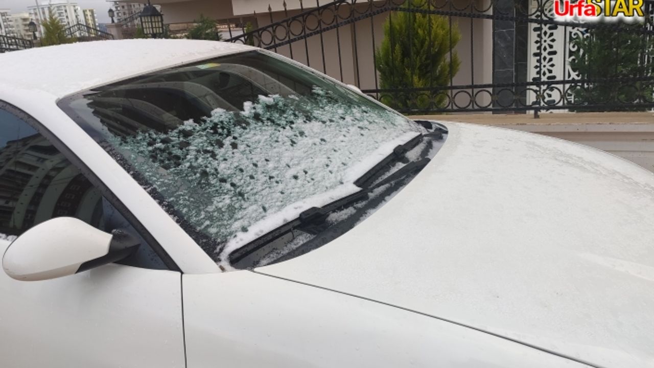 Urfa'da kar ve don etkili oldu