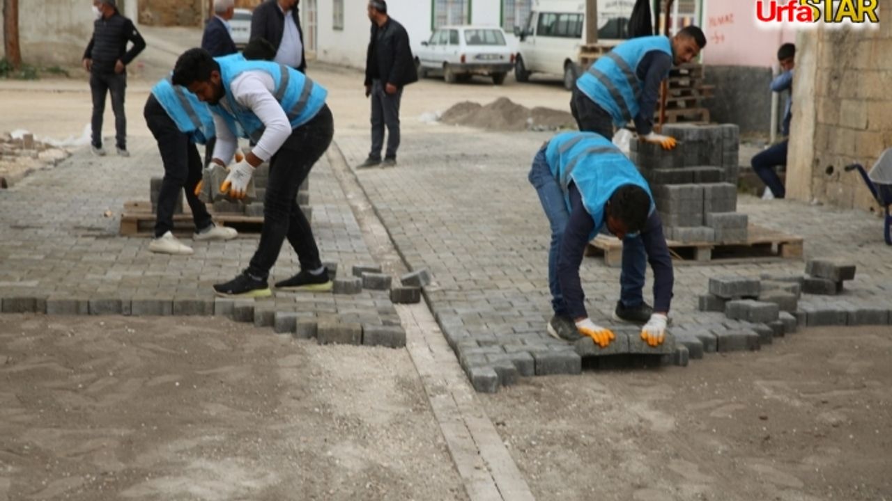 Haliliye kırsalında 4 koldan çalışılıyor