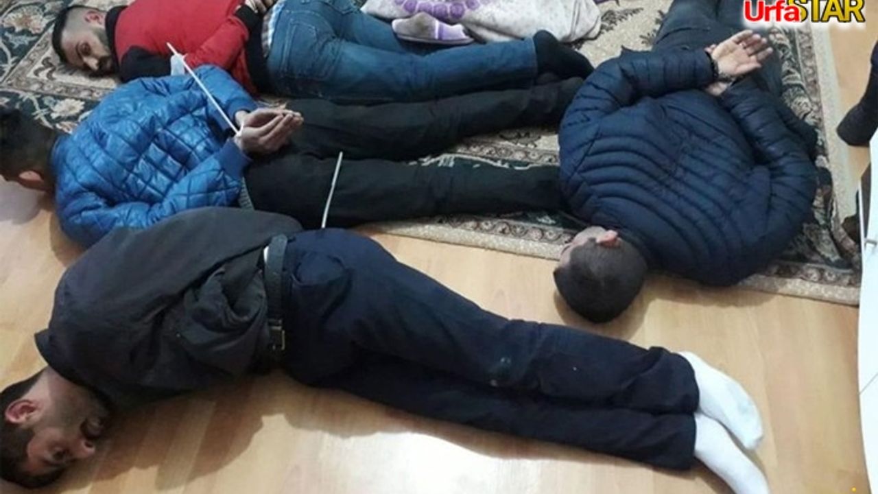 Urfa'da 4 ilçede flaş operasyon!