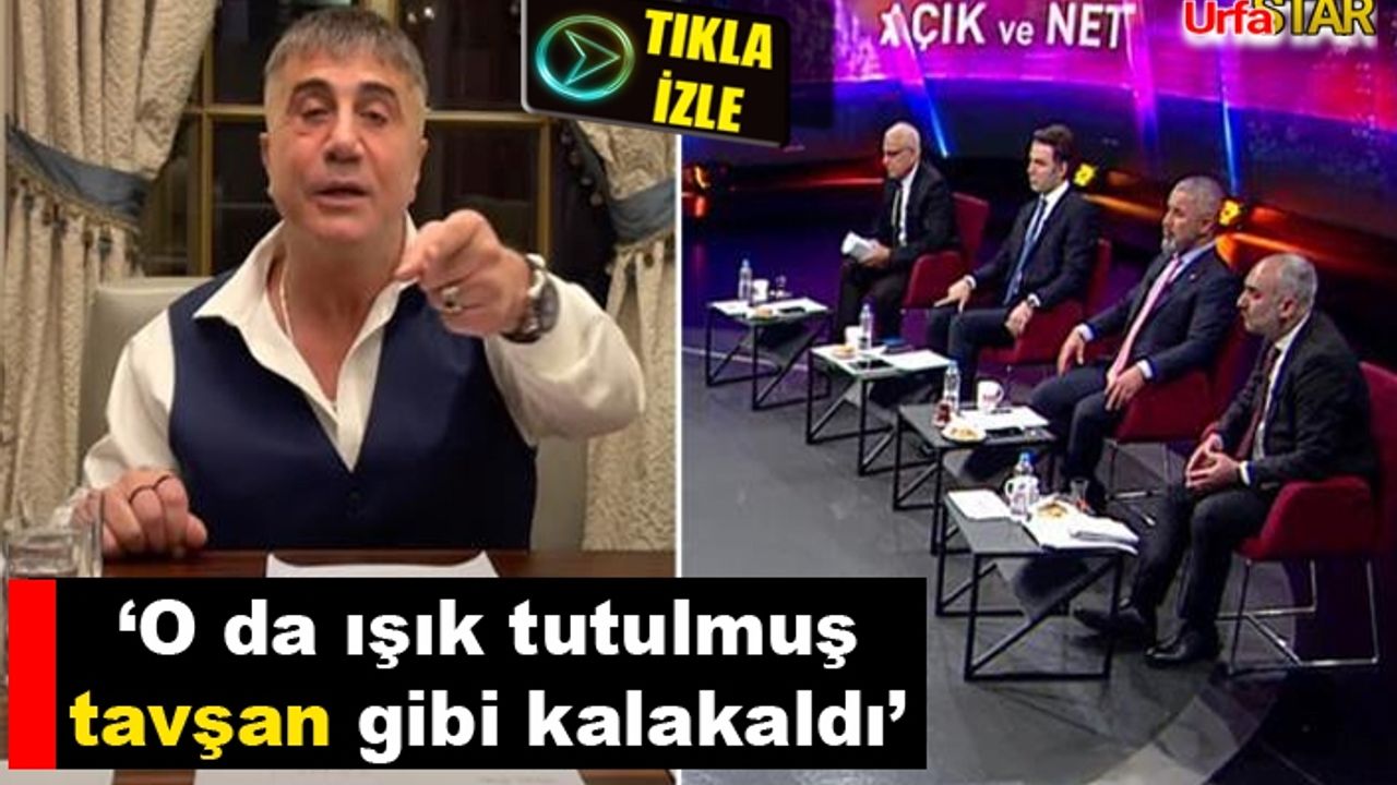 Soru soran gazetecileri eleştirdi