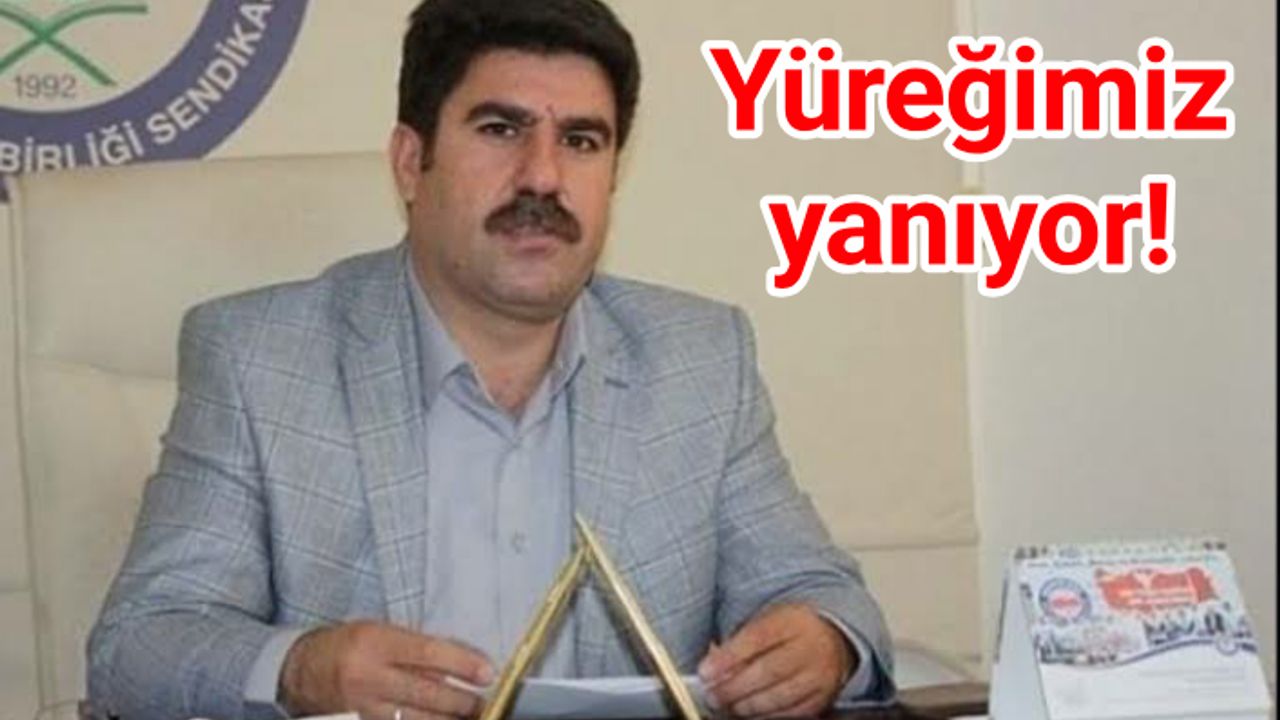 Coşkun, Yangınlarla ilgili flaş açıklamalarda bulundu