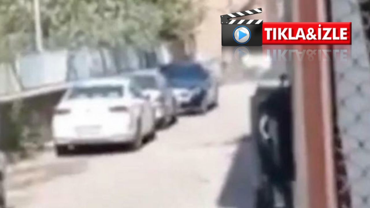 Siverek'te sokak ortasında çatışma!