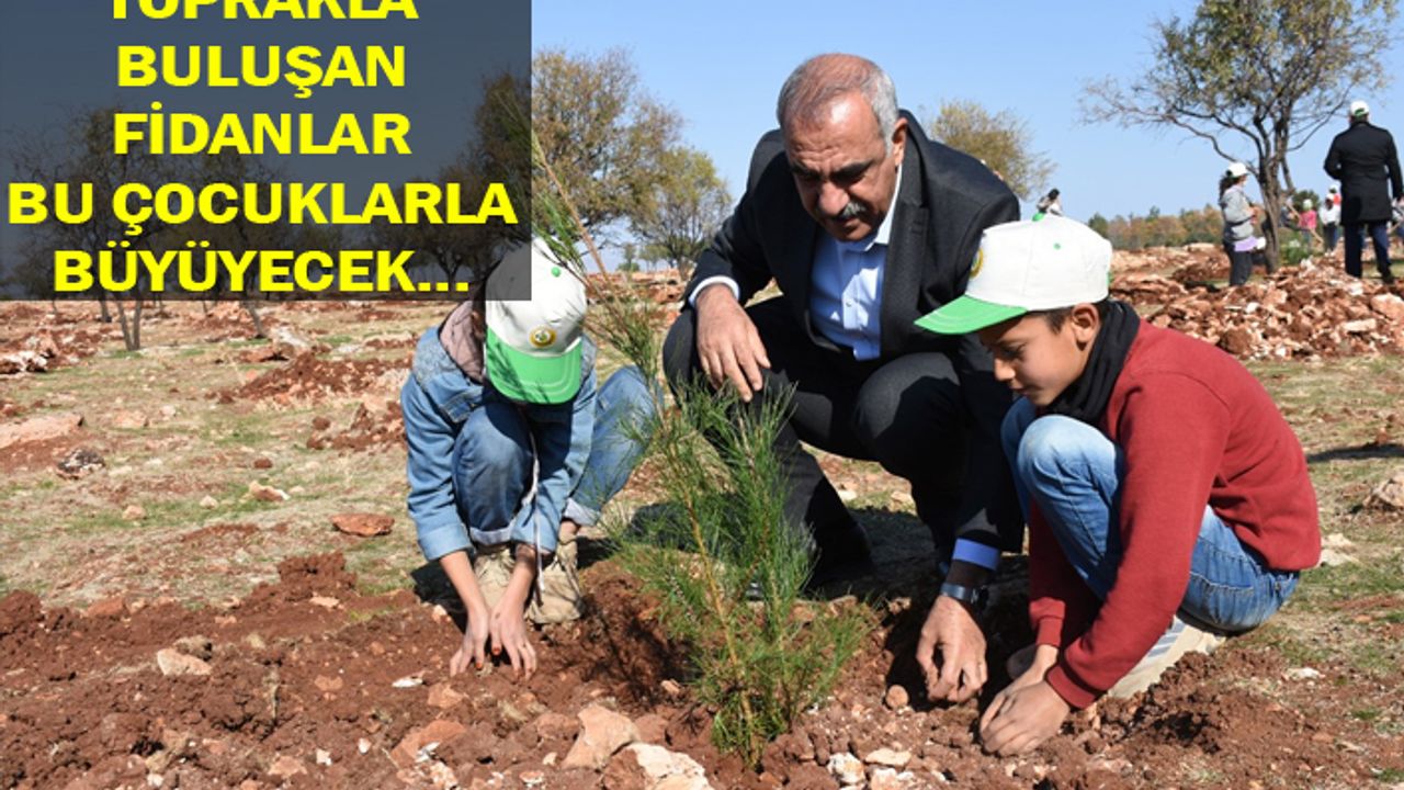 Ağaçlandırma seferberliği Hilvan'da da yaşandı