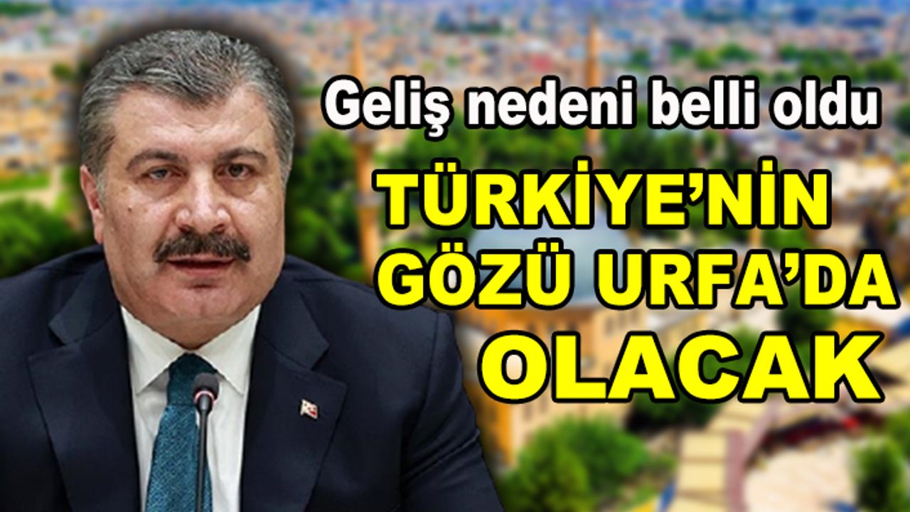 Bakan Koca Urfa'ya geliyor