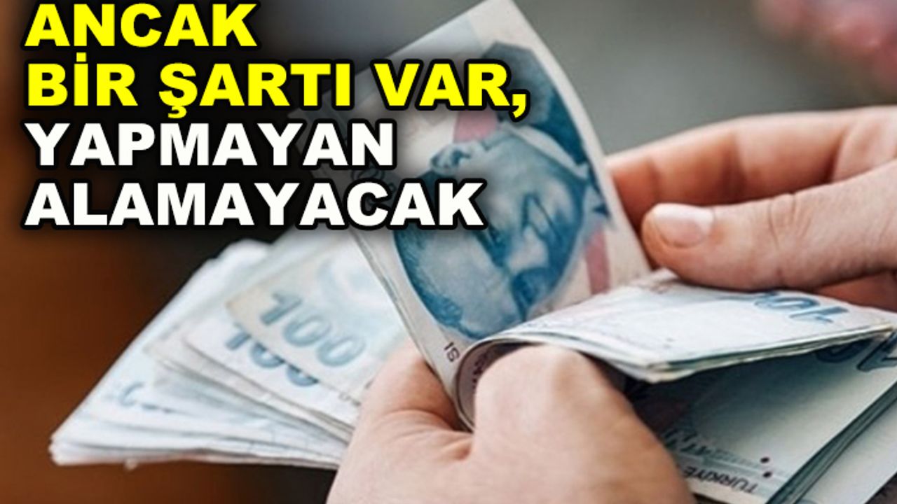 Memurlara 1.600 lira sözleşme ikramiyesi verilecek!