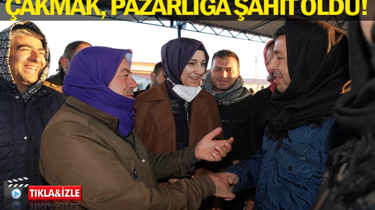 Siverek Hayvan Pazarında Renkli Görüntüler