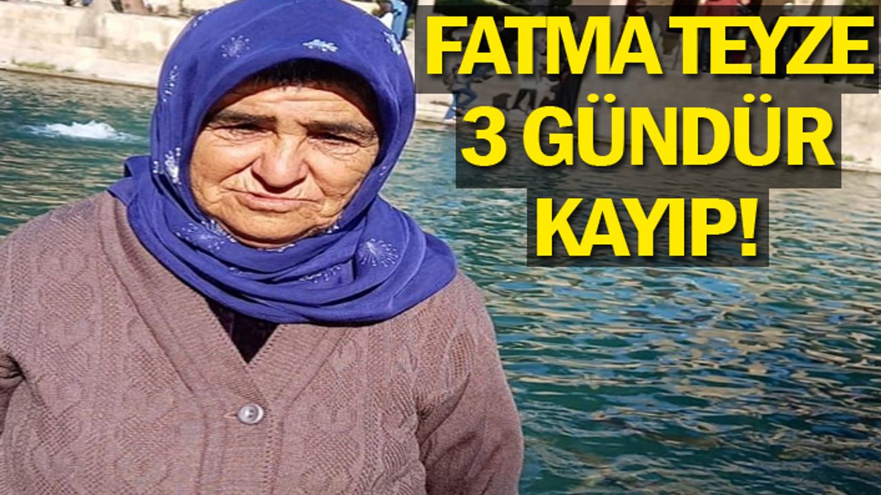 Urfa'da kaybolan kadından haber alınamıyor