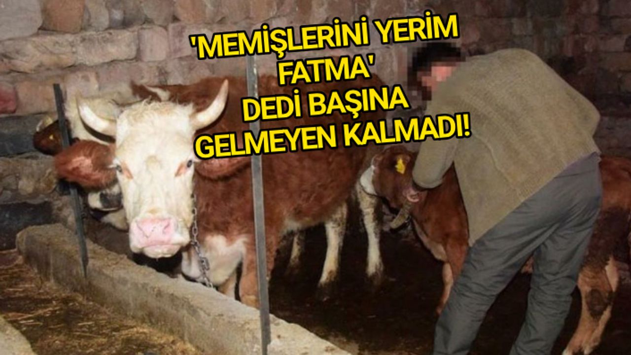 Filmlere konu olacak bir olay yaşandı