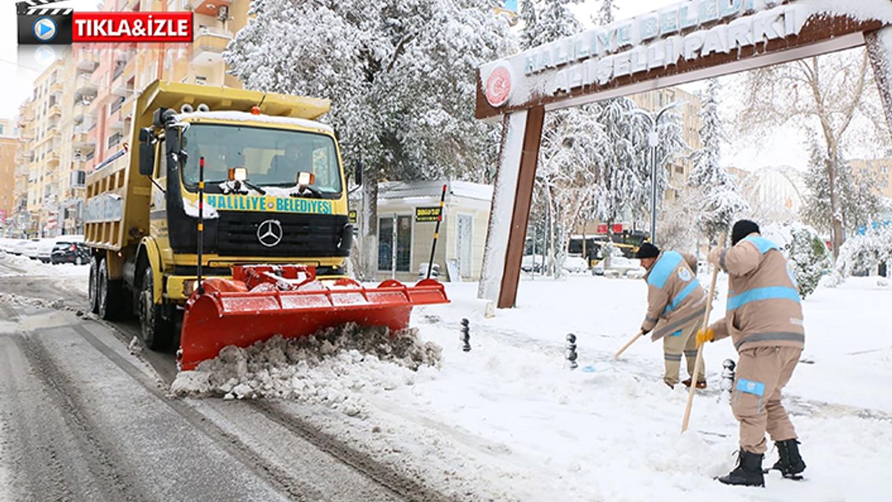 Haliliye Belediyesi karla mücadele ediyor