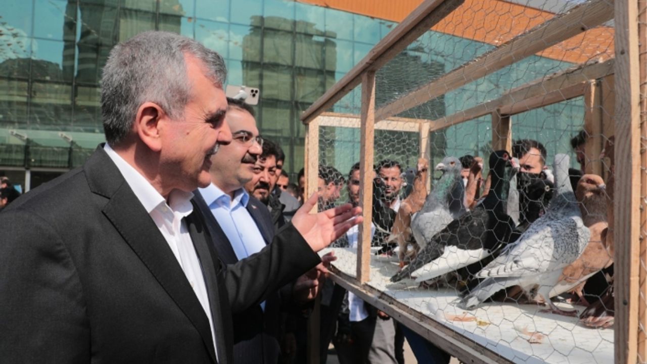 Urla'daki etkinliğe 8 ülkeden katılım sağlandı