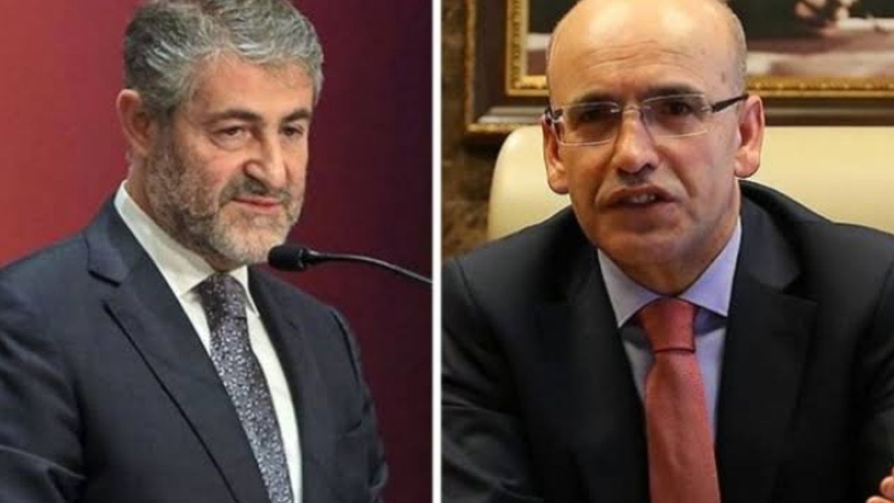 Nebati mi, Şimşek mi? Cevap geldi