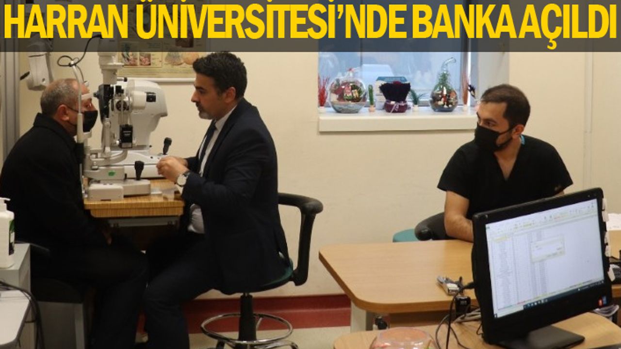 Yalnız bu banka para bankası değil!