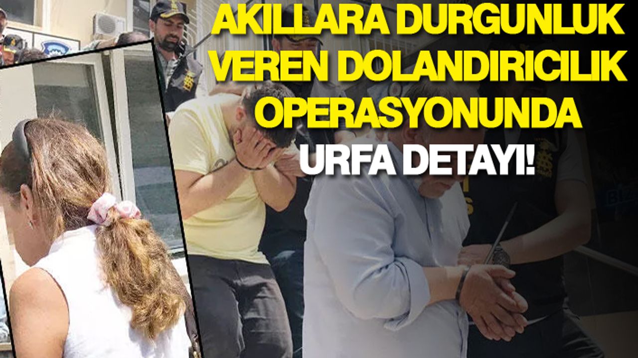 Tek bir kadından 50 milyon lira...