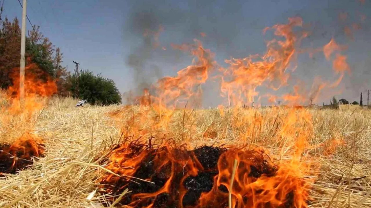Urfa'da anız yangınlarına karşı uyarılar yapılıyor