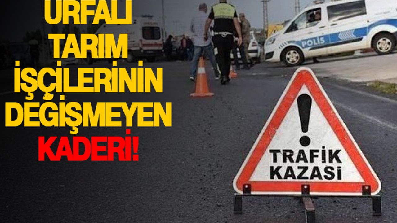 Mersinde kaza yaptılar! 17 kişi yaralandı
