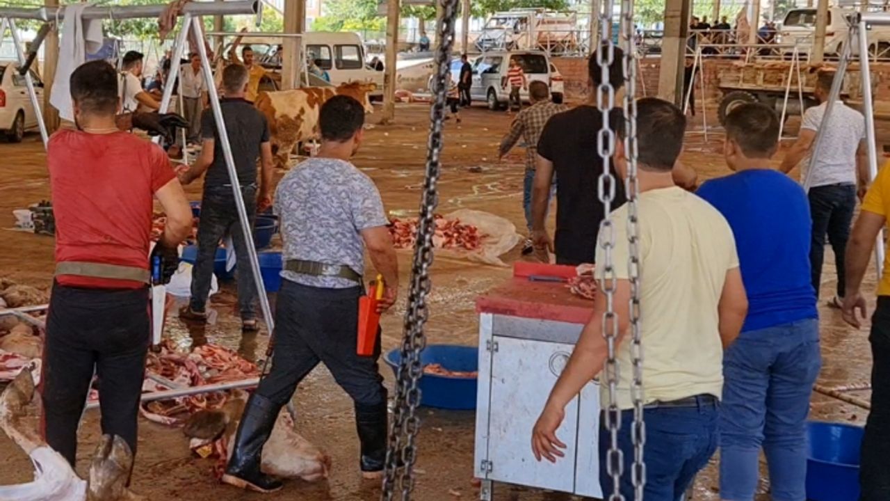 Urfa'da 153 kişi kendini yaraladı