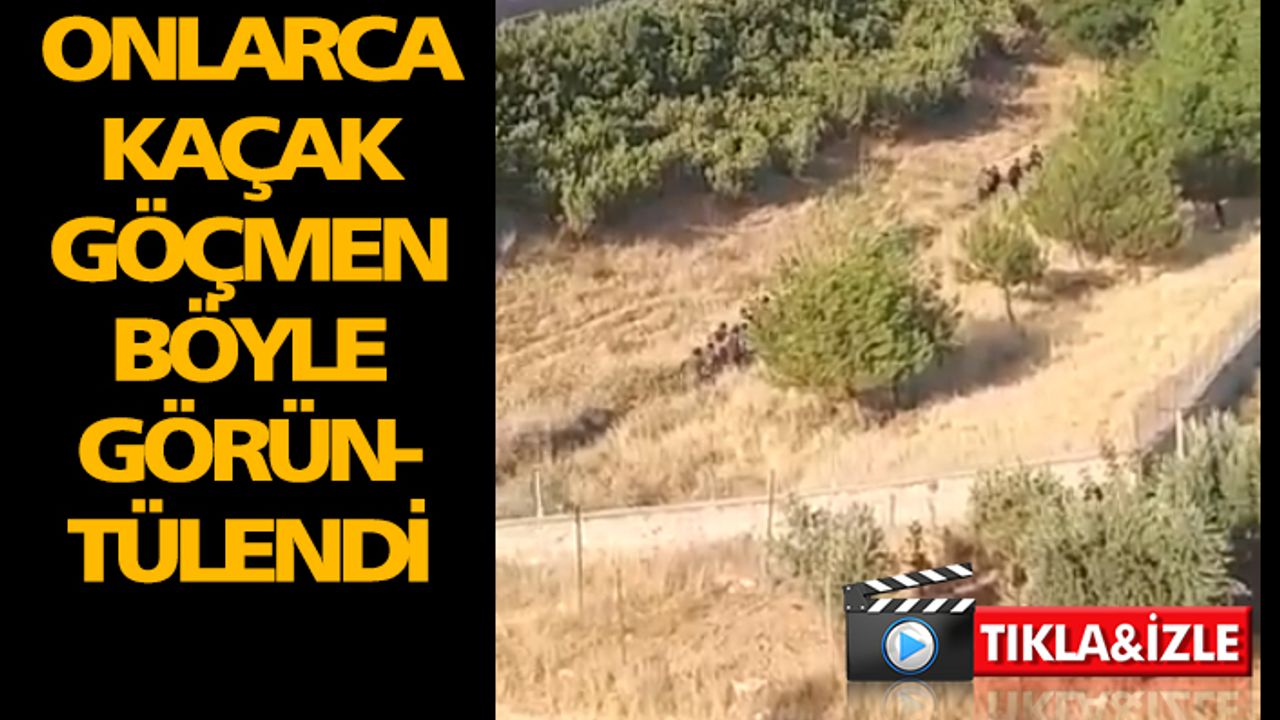 Kaçak göçmenler Urfa'da sürü gibi görüldü