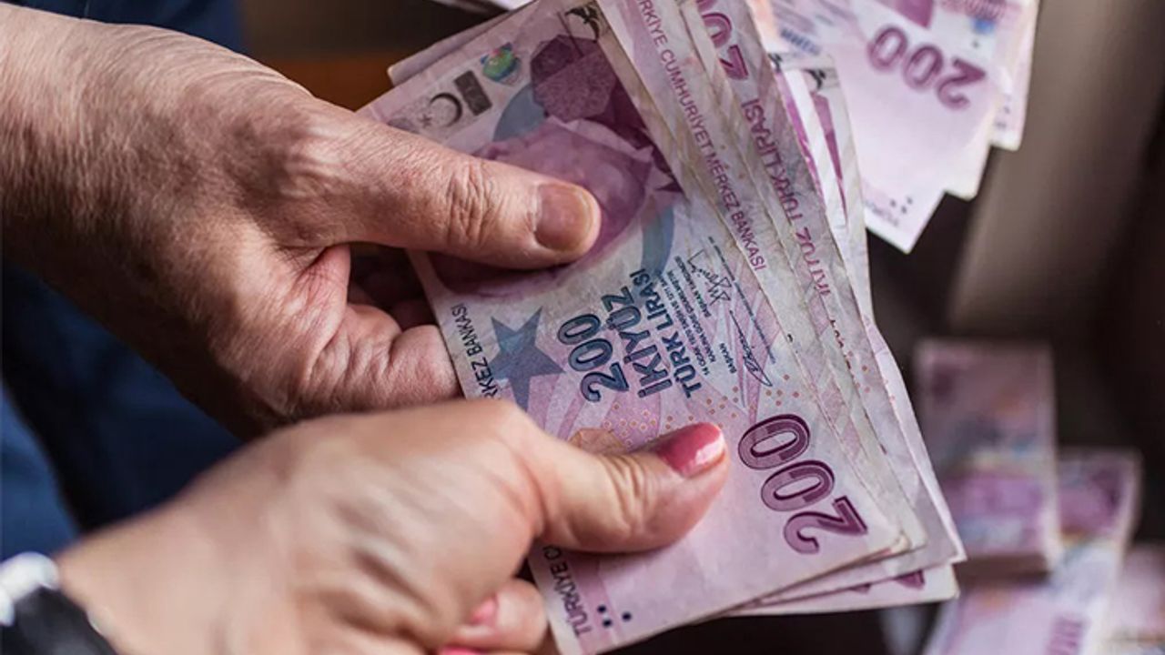 Aylık 1 bin 500 lira destek! Başvurular e-devlet'ten...