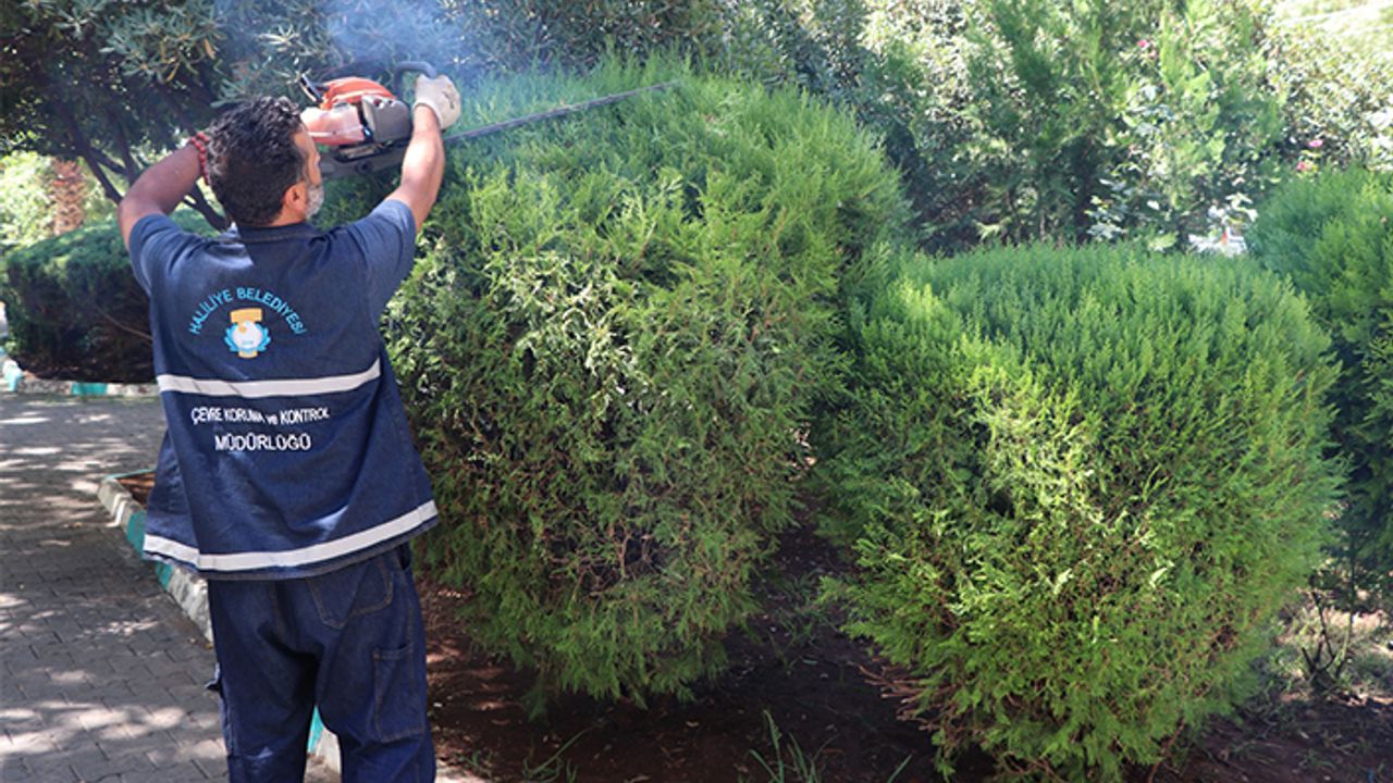 Haliliye’de Parklar Yaşam Alanına Dönüşüyor