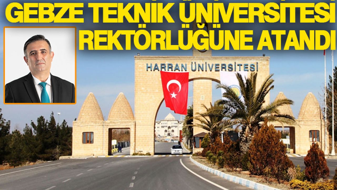 HRÜ'de kurulan bölümün kurucu başkanıydı...