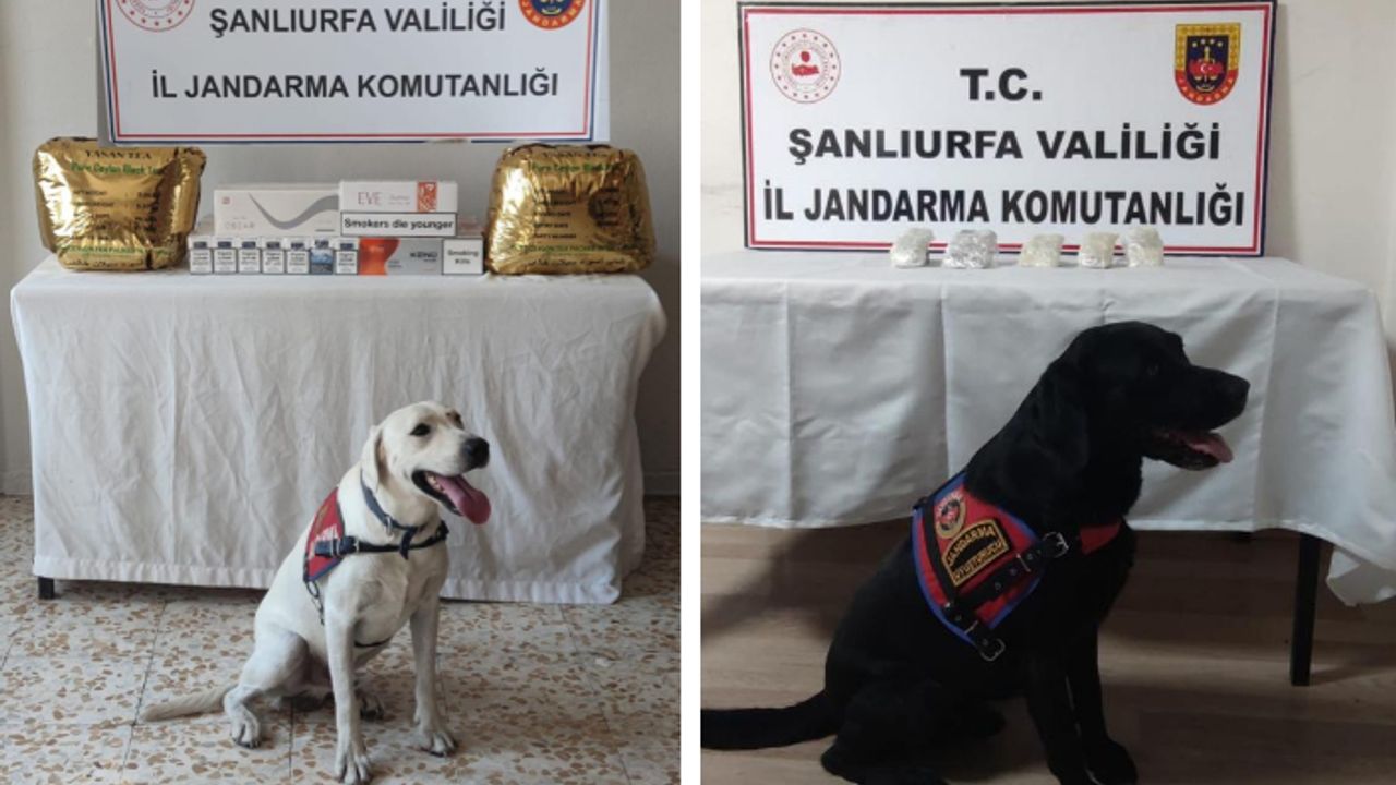 Karaköprü, Siverek ve Viranşehir’de ele geçirildi