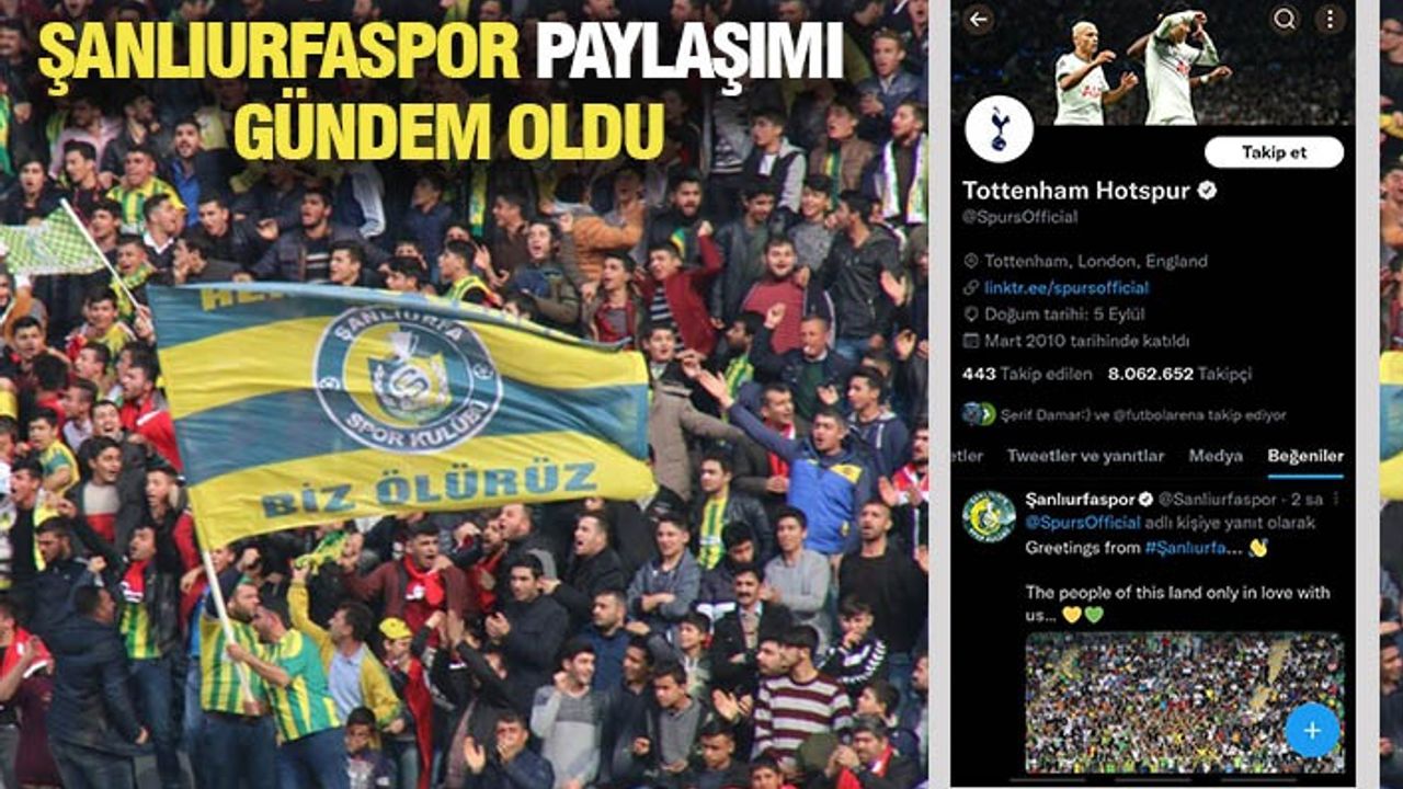 Tottenham da Şanlıurfaspor'u beğendi