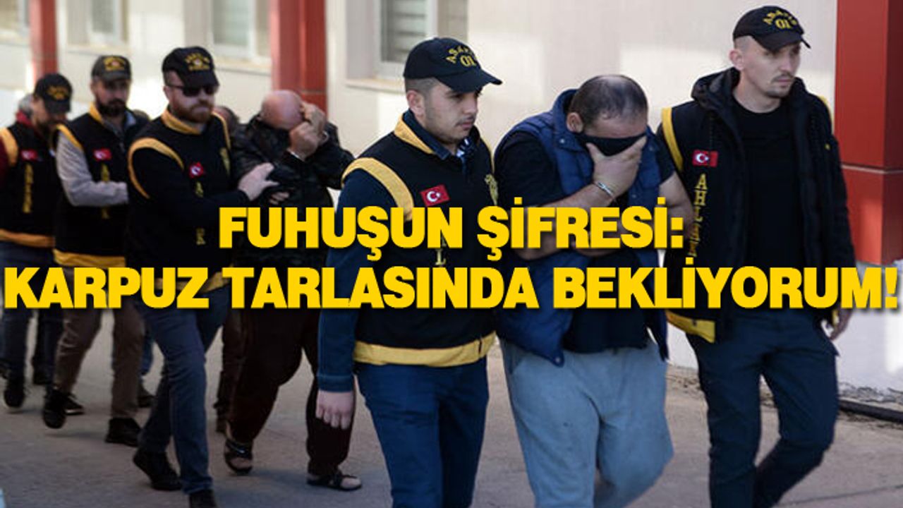 2 ayrı fuhuş çetesine operasyon yapıldı