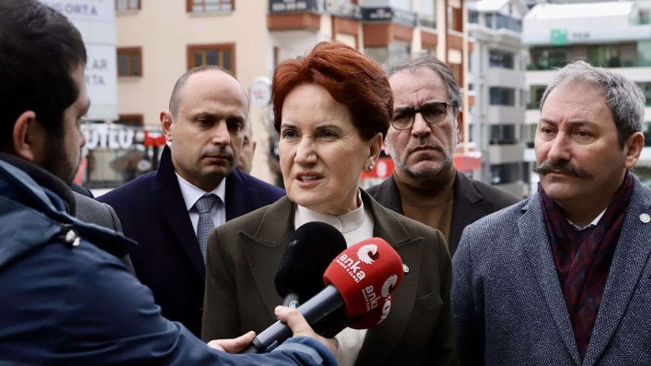 Akşener önerilerini bizzat Erdoğan'a iletti!