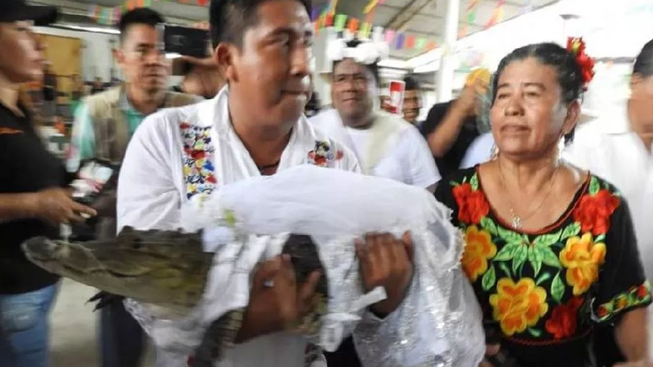 Bir Belediye Başkanı düşünün timsahla evleniyor...