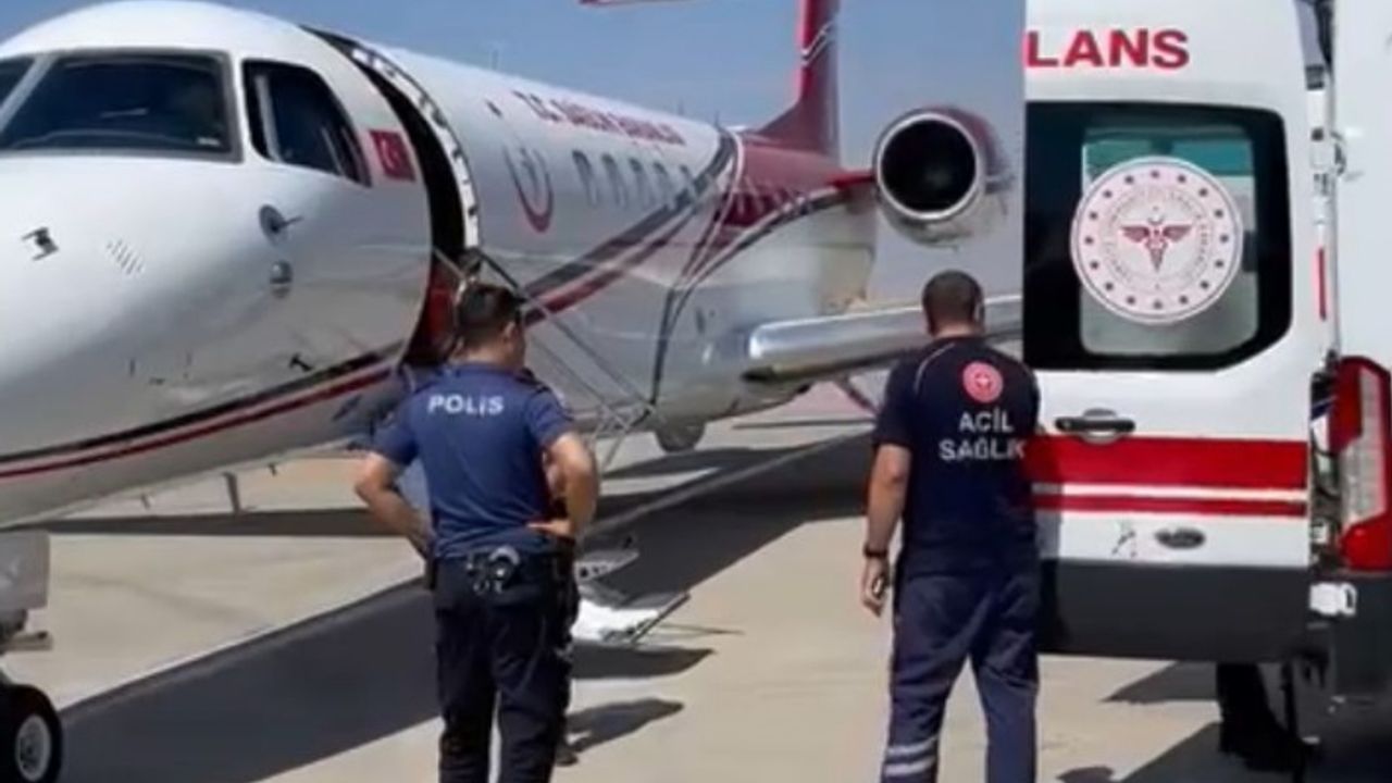 3 bebek Urfa'dan İstanbul'a uçakla sevk edildi