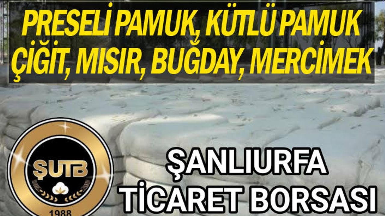 Urfa borsasında pamuk yüksek fiyattan satıldı